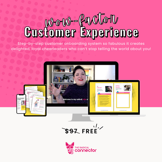 Wow-factor-Customer-Experience_The-Radical-Connector---The-Radical-Connector
