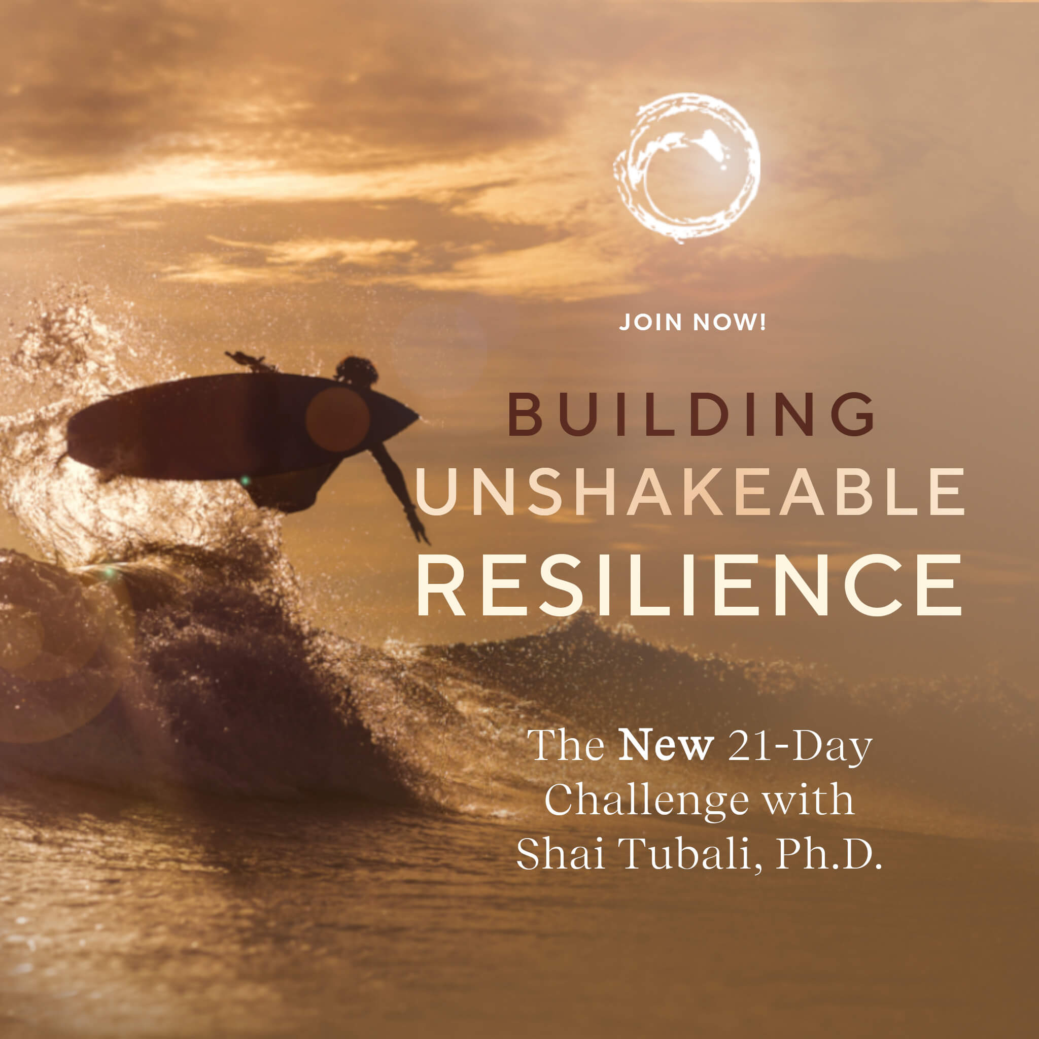 building-resilience-quad (1)